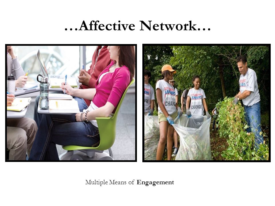 …Affective Network… Multiple Means of Engagement