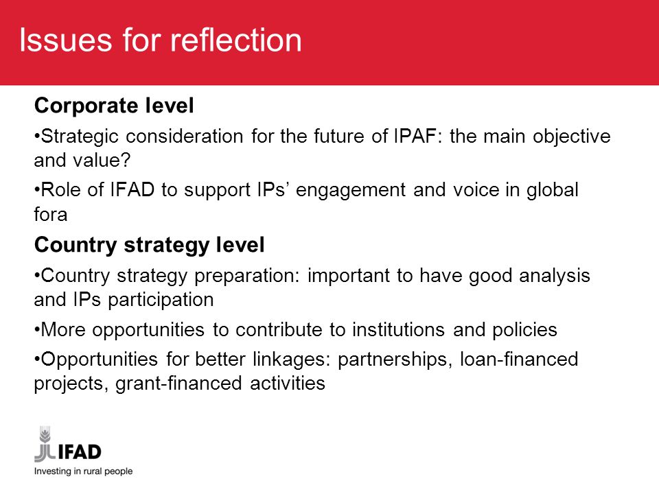 Issues for reflection Corporate level Strategic consideration for the future of IPAF: the main objective and value.