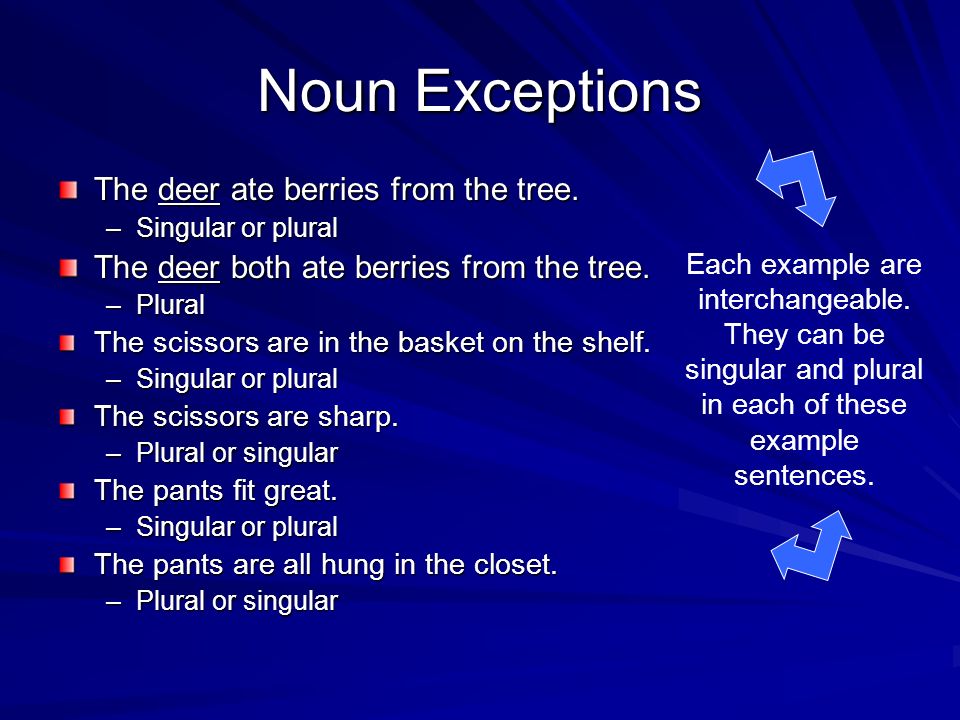 Singular Versus Plural Along With Subject Verb Agreement Ppt Download Singular Versus Plural Along With Subject Verb Agreement Ppt Download