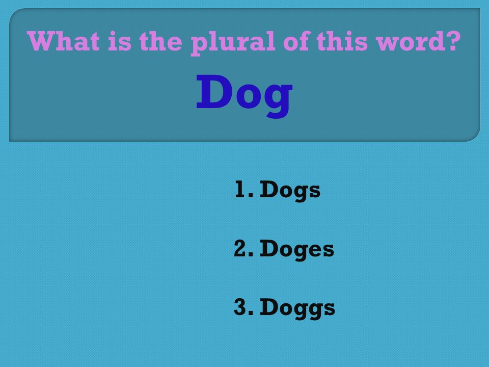 What is the plural of this word 1. Dogs 2. Doges 3. Doggs Dog