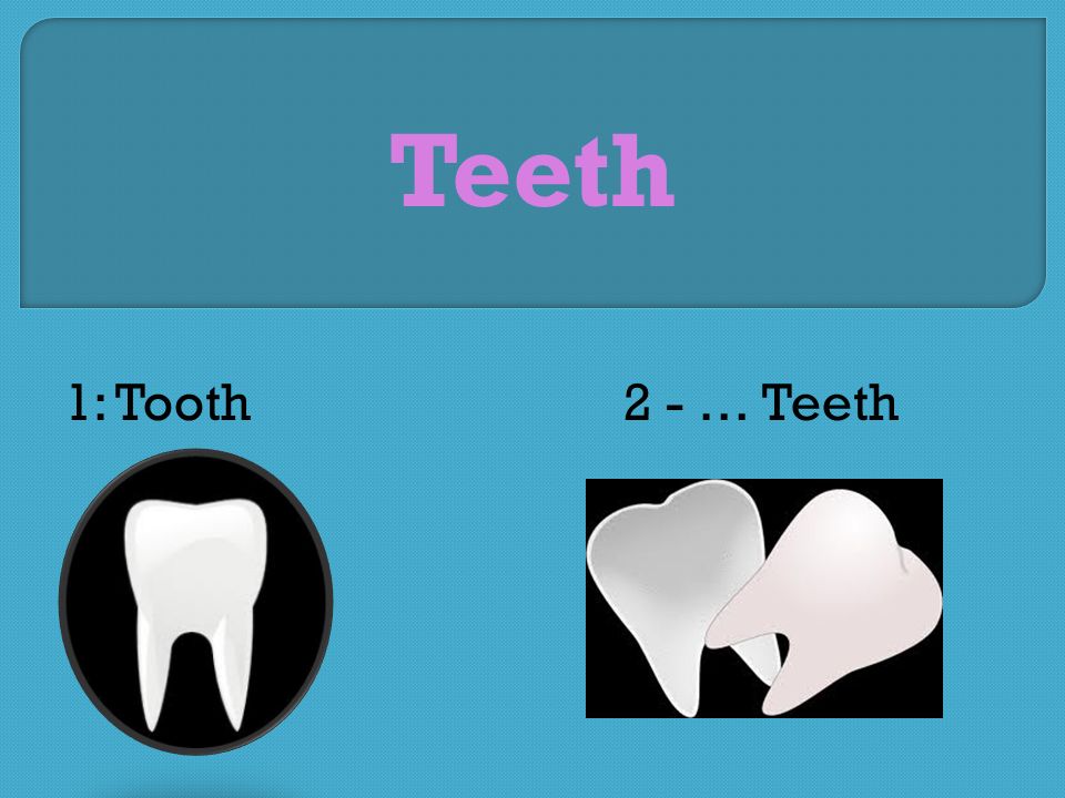 Teeth 1: Tooth2 - … Teeth