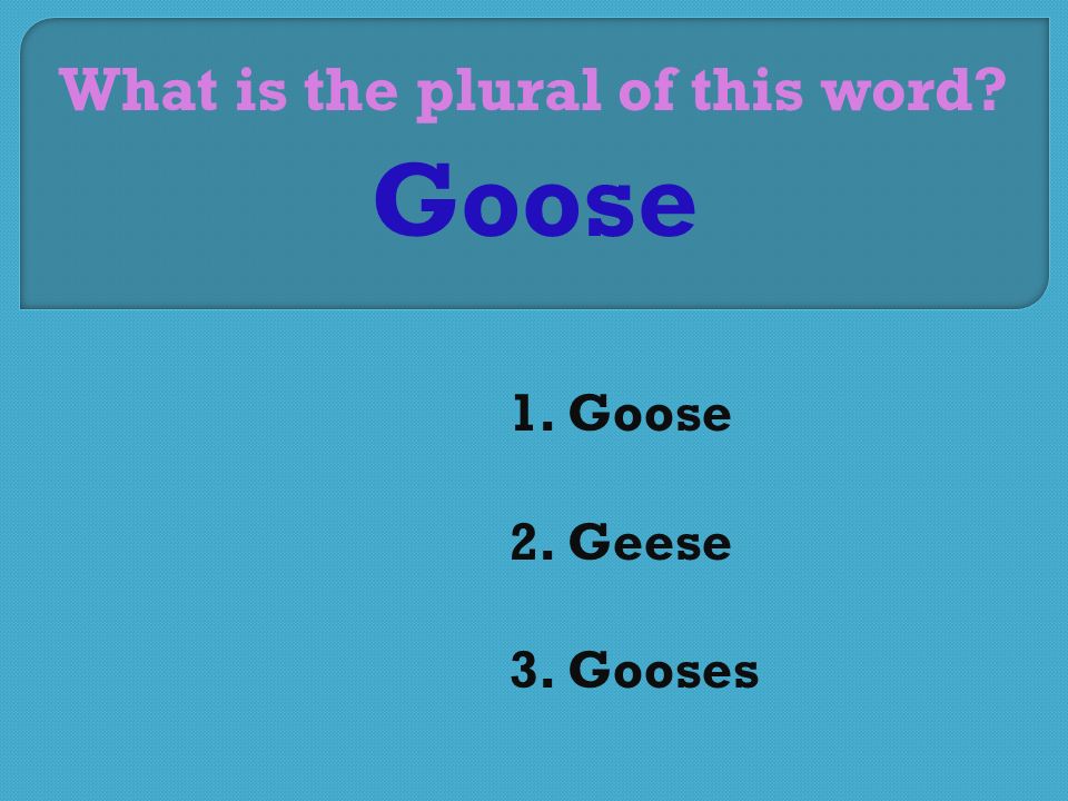 What is the plural of this word 1. Goose 2. Geese 3. Gooses Goose