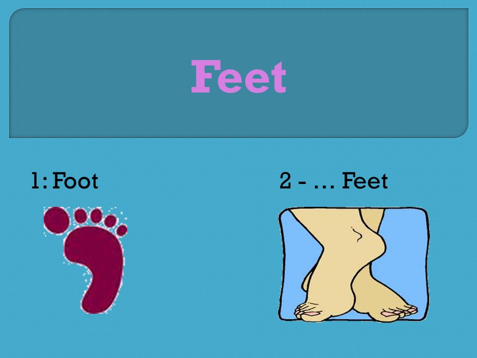 Feet 1: Foot2 - … Feet