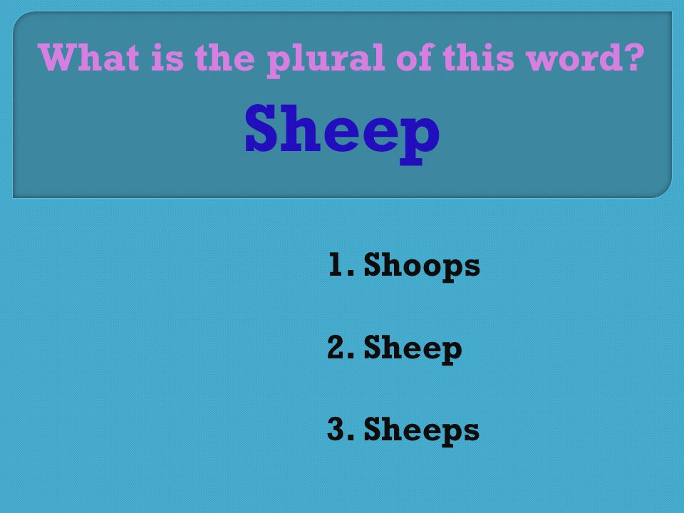 What is the plural of this word 1. Shoops 2. Sheep 3. Sheeps Sheep