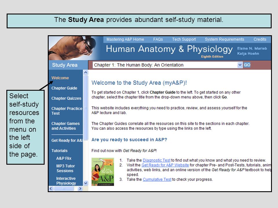 The Study Area provides abundant self-study materialThe Study Area provides abundant self-study material.