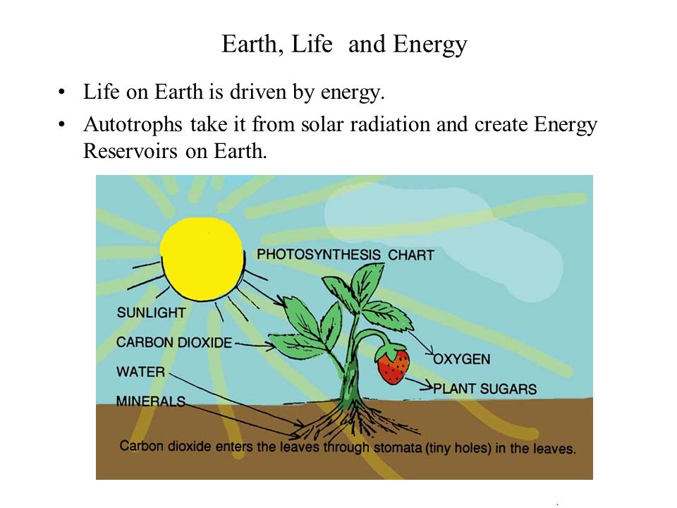 Earth, Life and Energy Life on Earth is driven by energy.