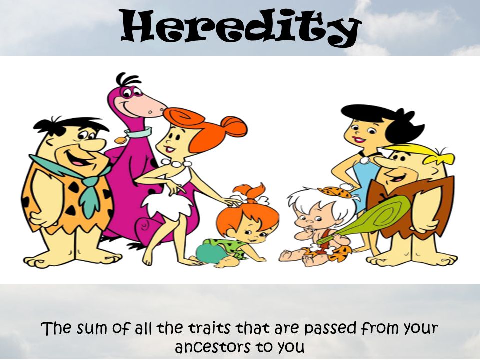 Heredity The sum of all the traits that are passed from your ancestors to you