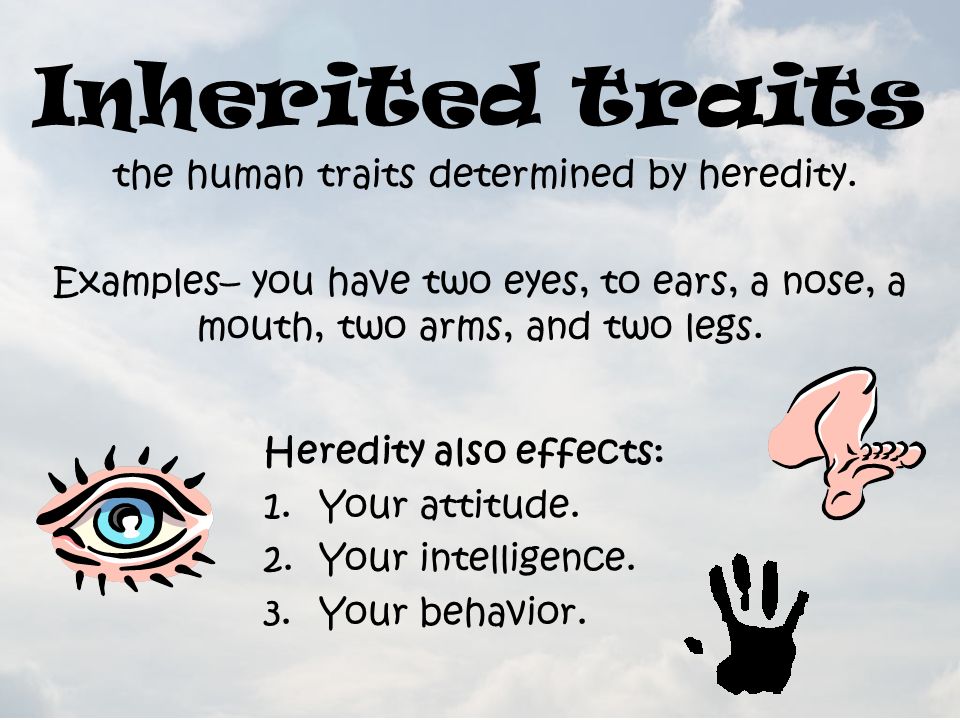 Inherited traits the human traits determined by heredity.