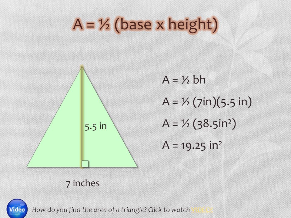 5.5 in 7 inches A = ½ bh A = ½ (7in)(5.5 in) A = ½ (38.5in 2 ) A = in 2 How do you find the area of a triangle.
