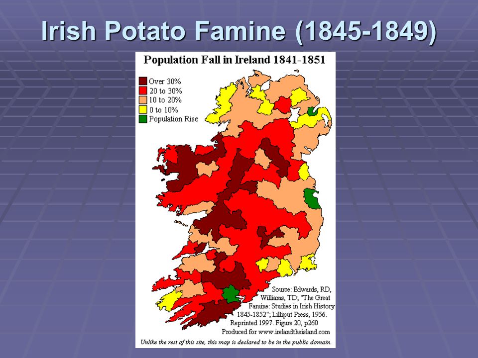 Irish Potato Famine ( )