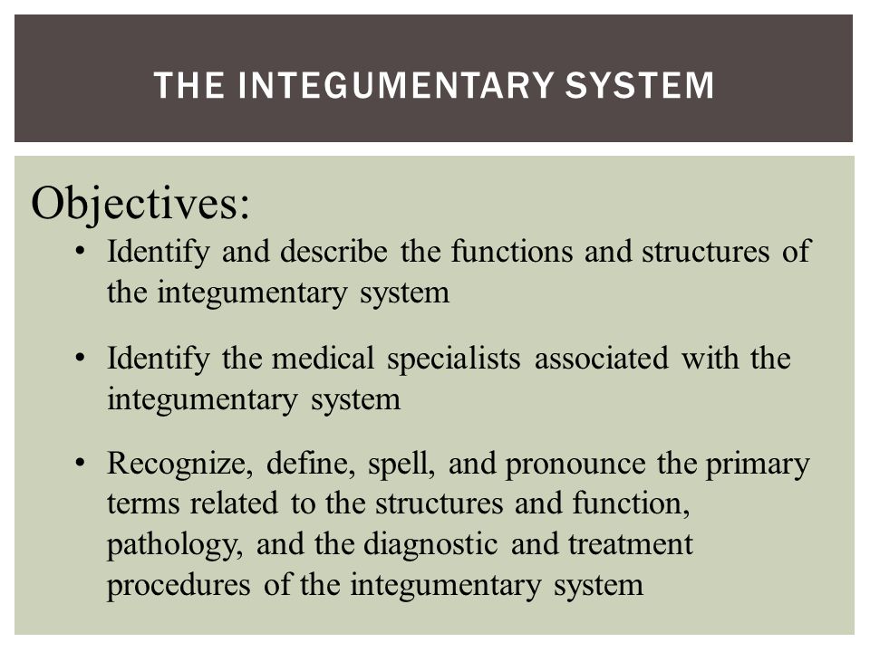 THE INTEGUMENTARY SYSTEM Objectives: Identify and describe the functions and structures of the integumentary system Identify the medical specialists associated with the integumentary system Recognize, define, spell, and pronounce the primary terms related to the structures and function, pathology, and the diagnostic and treatment procedures of the integumentary system