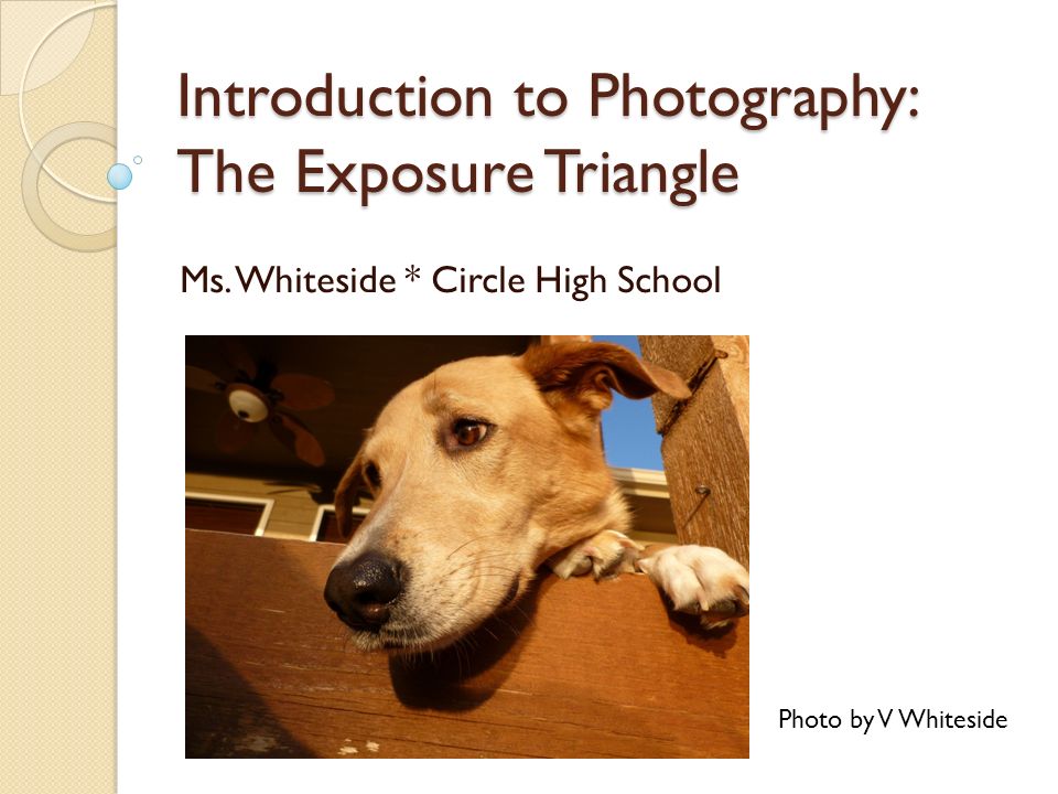Introduction to Photography: The Exposure Triangle Ms.