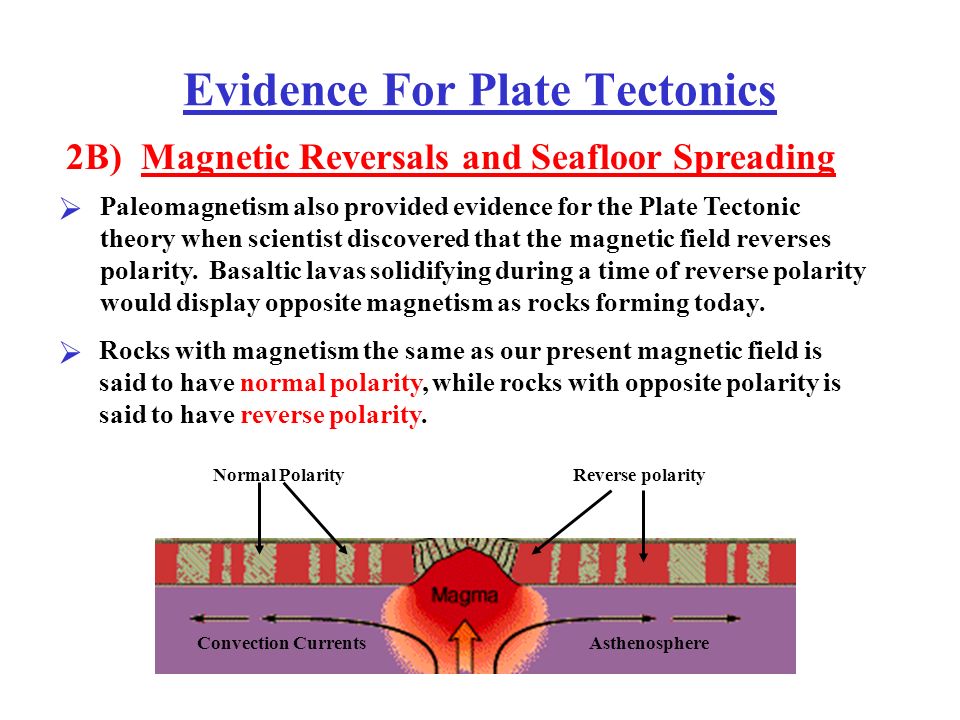 Evidence For Plate Tectonics The Main Evidence To Support The Idea