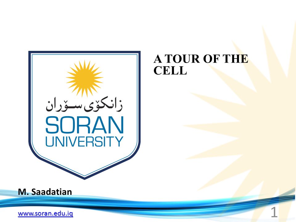 M. Saadatian A TOUR OF THE CELL 1