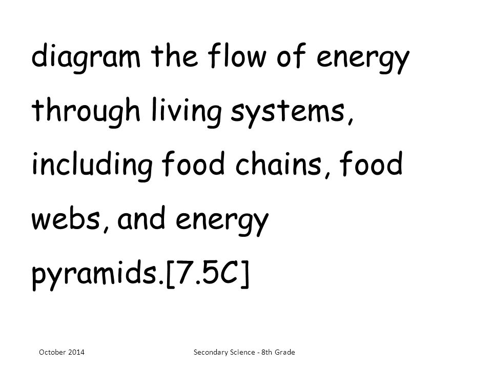 diagram the flow of energy through living systems, including food chains, food webs, and energy pyramids.[7.5C] October 2014Secondary Science - 8th Grade