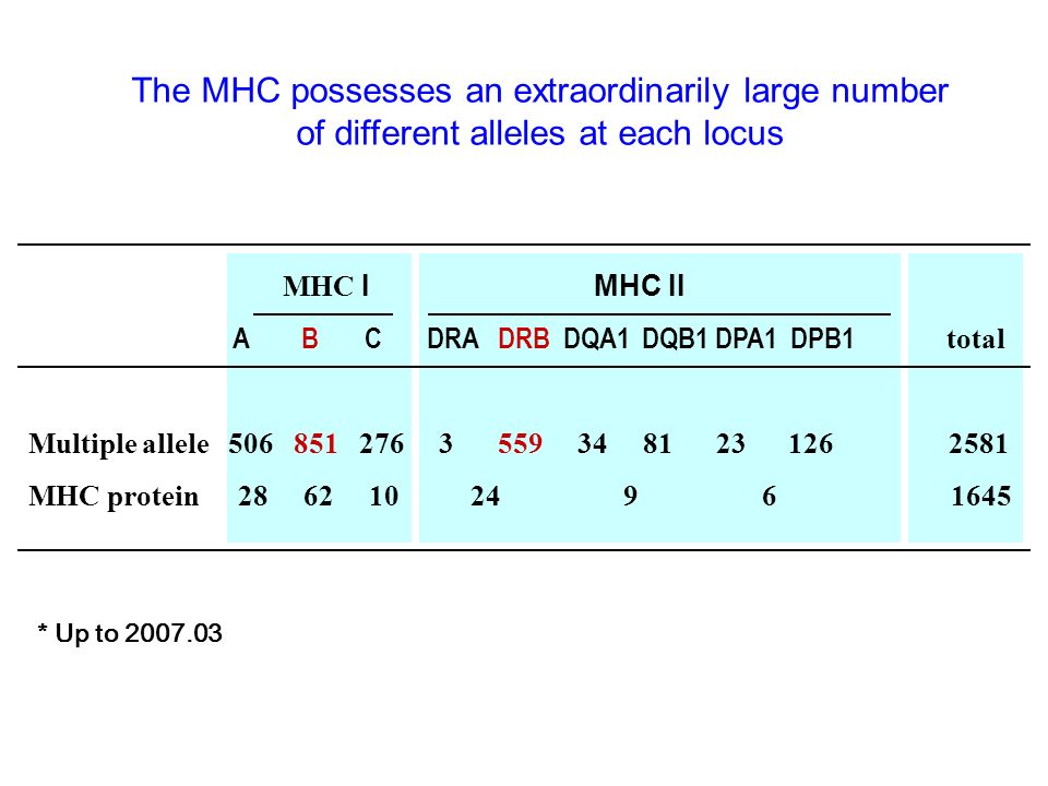 INSTITUTE FOR IMMUNOBIOLOGY Histocompatibility Complex MHC Department of Fudan University Bo GAO, download