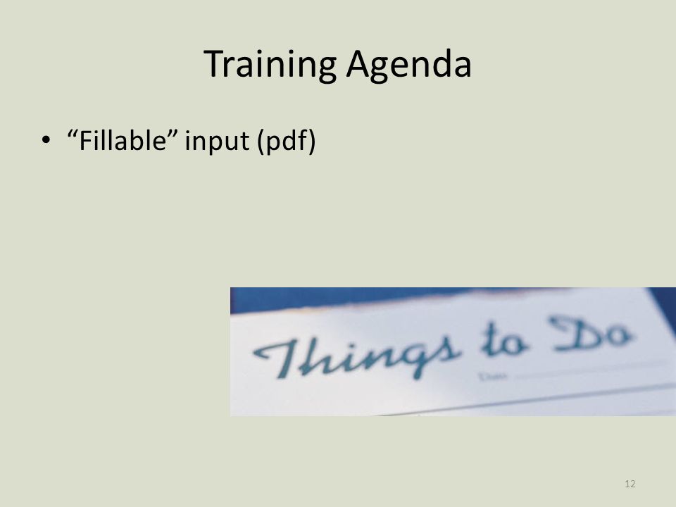 Training Agenda Fillable input (pdf) 12
