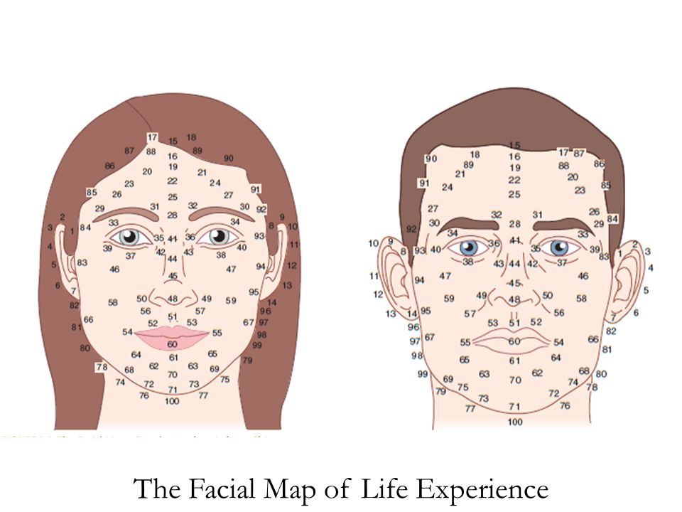 The Facial Map of Life Experience