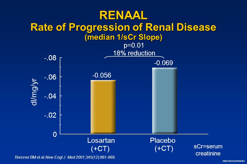 0902CZR01NL537SS0901 RENAAL Rate of Progression of Renal Disease (median 1/sCr Slope) LosartanPlacebo dl/mg/yr p= % reduction (+CT) Brenner BM et al New Engl J Med 2001;345(12):