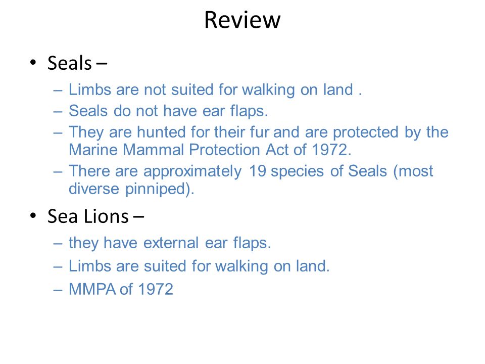 Review Seals – –Limbs are not suited for walking on land.