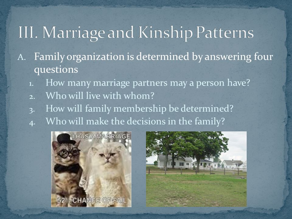 A. Family organization is determined by answering four questions 1.