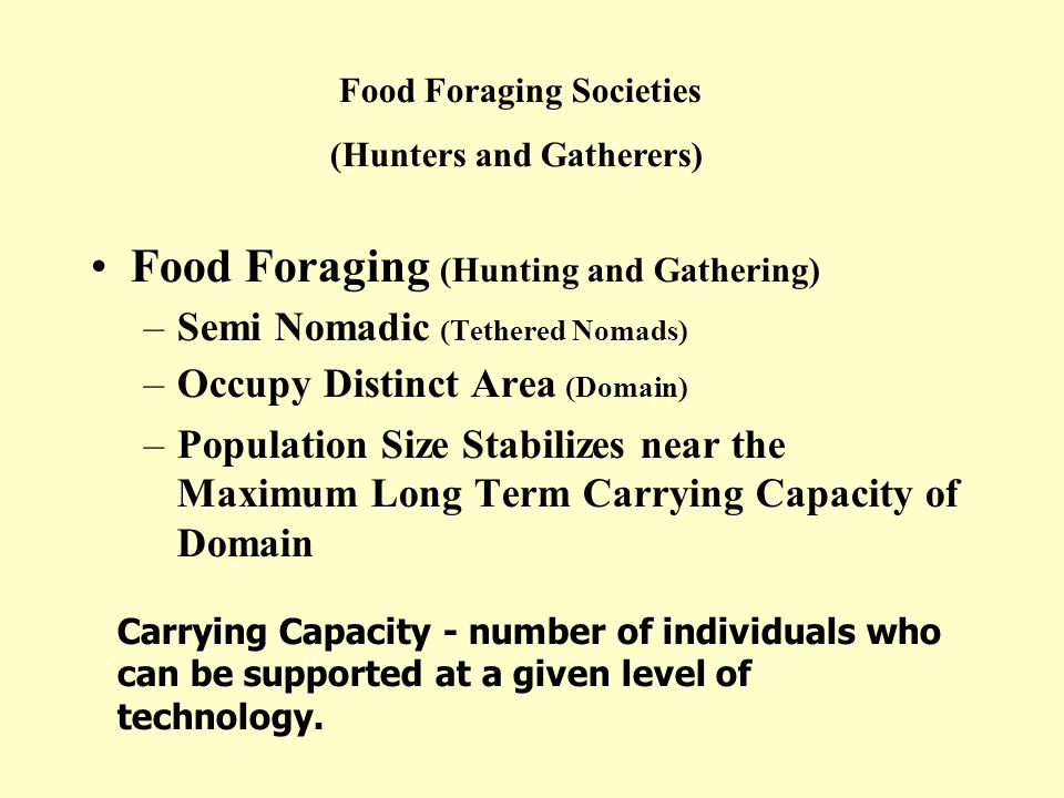today food foraging societies