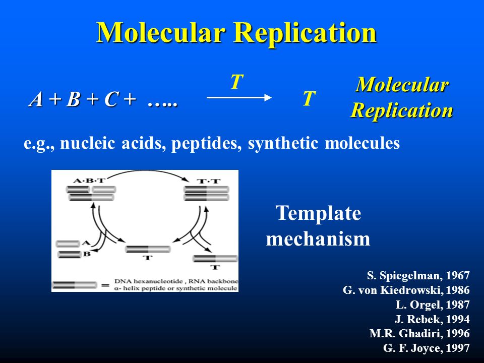 Molecular Replication A + B + C + ….. T T Molecular Replication Template mechanism S.