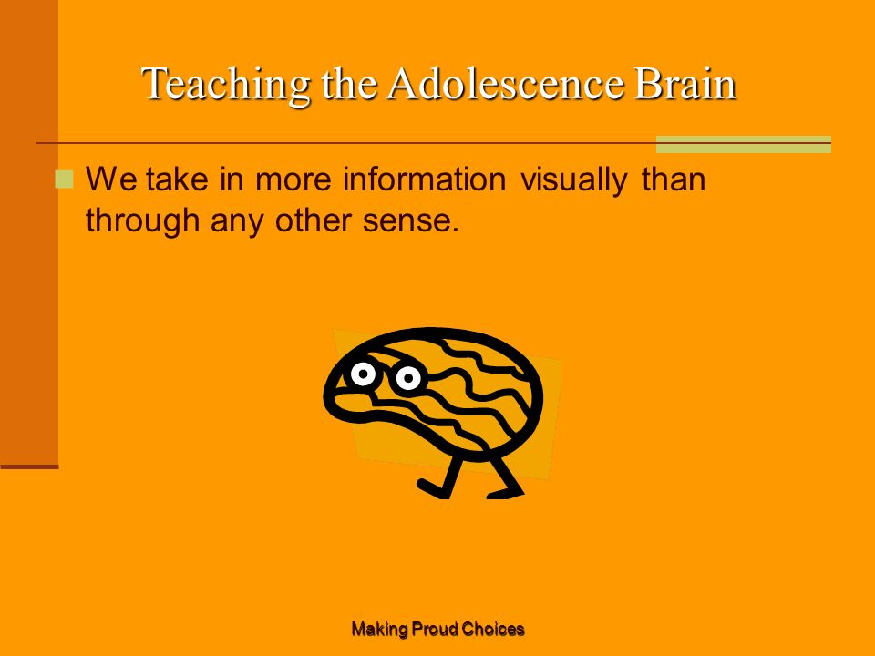 Making Proud Choices Teaching the Adolescence Brain We take in more information visually than through any other sense.