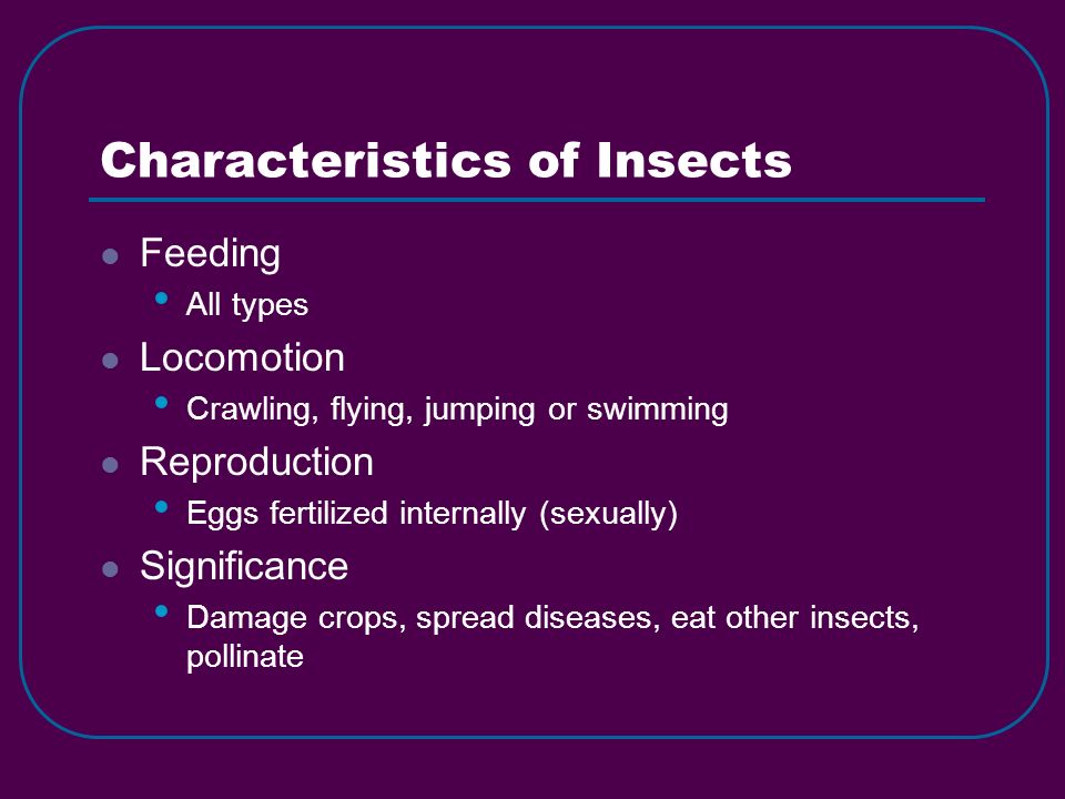 Characteristics of Insects Feeding All types Locomotion Crawling, flying, jumping or swimming Reproduction Eggs fertilized internally (sexually) Significance Damage crops, spread diseases, eat other insects, pollinate