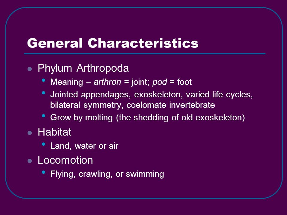 General Characteristics Phylum Arthropoda Meaning – arthron = joint; pod = foot Jointed appendages, exoskeleton, varied life cycles, bilateral symmetry, coelomate invertebrate Grow by molting (the shedding of old exoskeleton) Habitat Land, water or air Locomotion Flying, crawling, or swimming