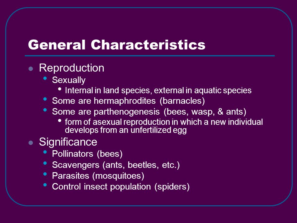 General Characteristics Reproduction Sexually Internal in land species, external in aquatic species Some are hermaphrodites (barnacles) Some are parthenogenesis (bees, wasp, & ants) form of asexual reproduction in which a new individual develops from an unfertilized egg Significance Pollinators (bees) Scavengers (ants, beetles, etc.) Parasites (mosquitoes) Control insect population (spiders)