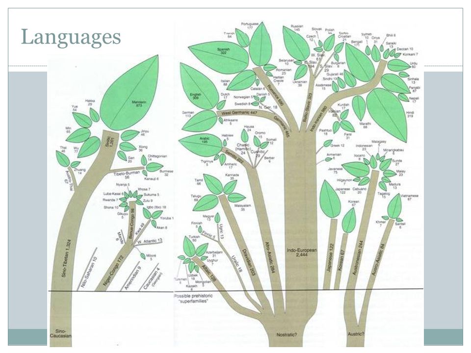 Индоевропейские ветви. Индоевропейская семья дерево. Индоевропейская языковая семья дерево. Генеалогическая классификация индоевропейских языков дерево. Генеалогия индоевропейских языков схема.