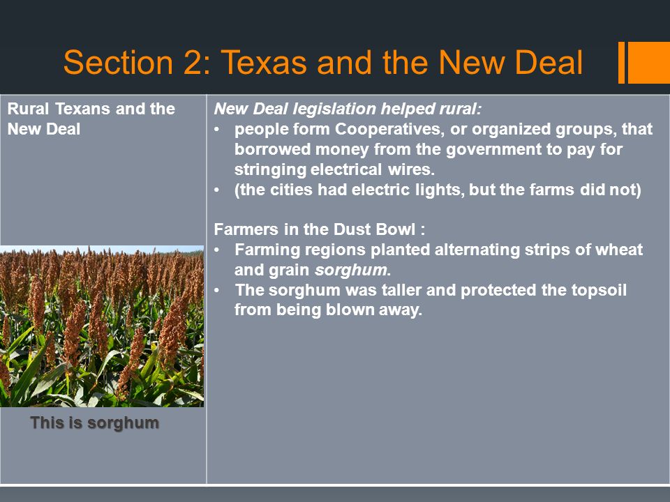 Section 2: Texas and the New Deal Rural Texans and the New Deal New Deal legislation helped rural: people form Cooperatives, or organized groups, that borrowed money from the government to pay for stringing electrical wires.