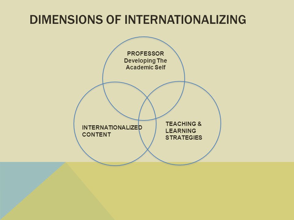 DIMENSIONS OF INTERNATIONALIZING INTERNATIONALIZED CONTENT TEACHING & LEARNING STRATEGIES PROFESSOR Developing The Academic Self
