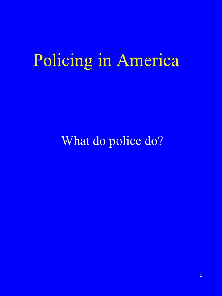 1 Policing in America What do police do