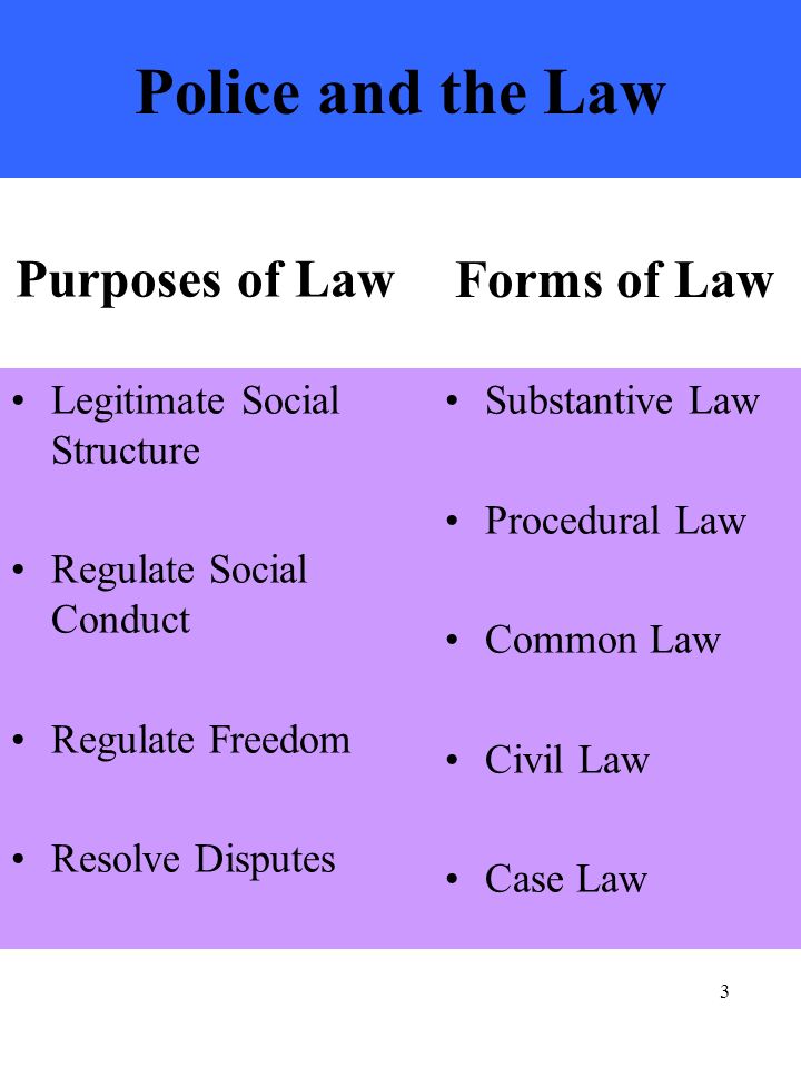 3 Police and the Law Legitimate Social Structure Regulate Social Conduct Regulate Freedom Resolve Disputes Substantive Law Procedural Law Common Law Civil Law Case Law Purposes of Law Forms of Law