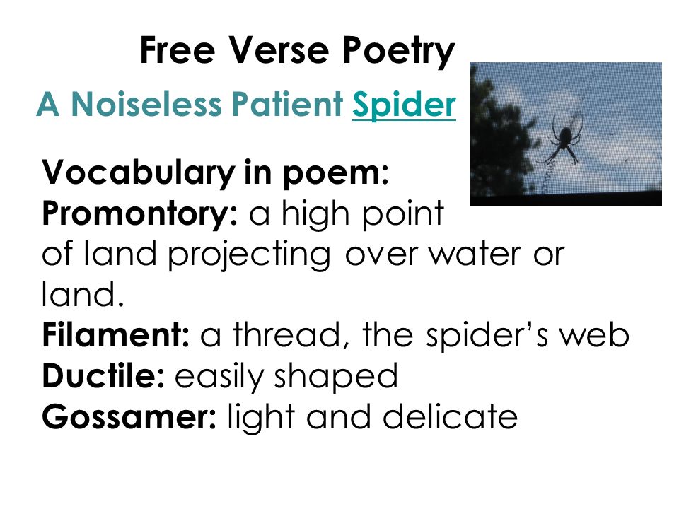 Free Verse Poetry Vocabulary in poem: Promontory: a high point of land projecting over water or land.
