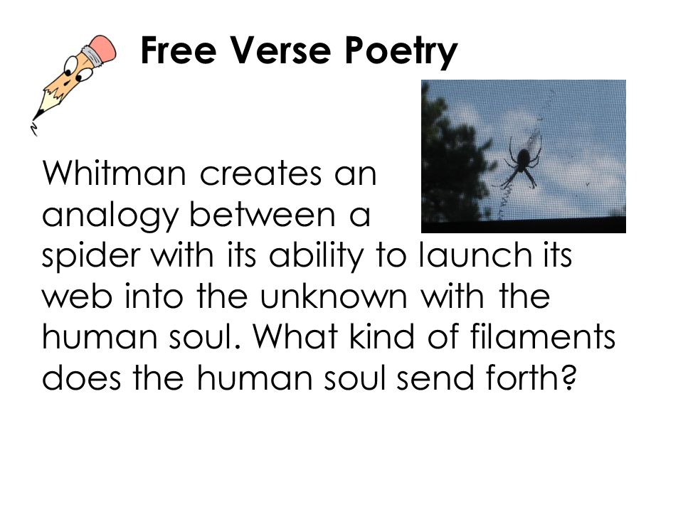 Free Verse Poetry Whitman creates an analogy between a spider with its ability to launch its web into the unknown with the human soul.