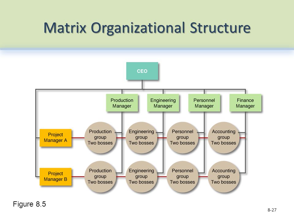 Matrix Organizational Structure 8-27 Figure 8.5
