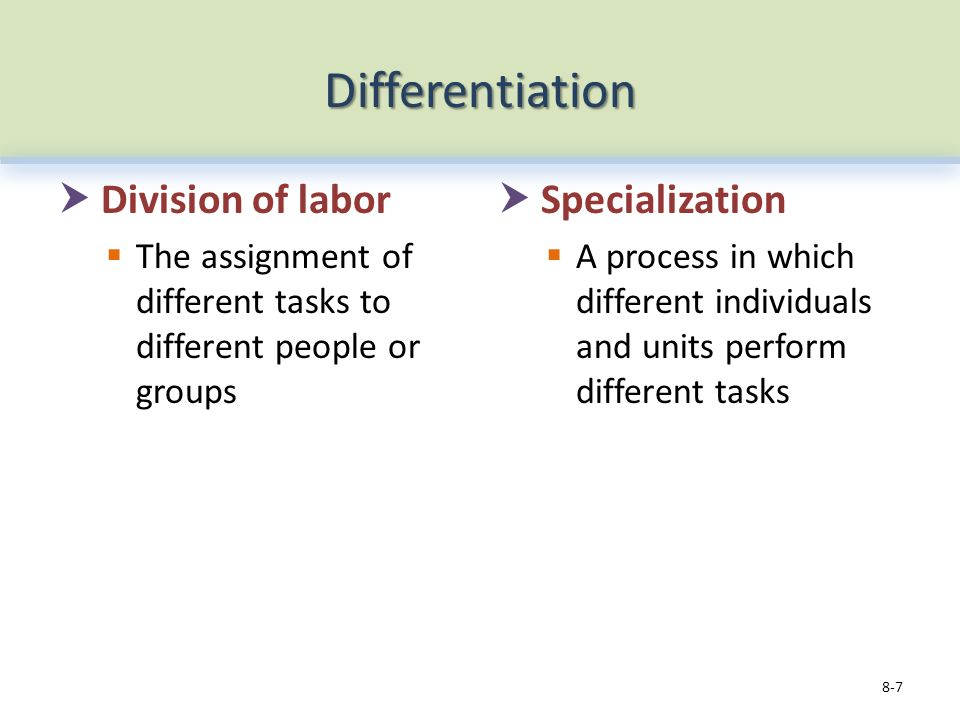Differentiation  Division of labor  The assignment of different tasks to different people or groups  Specialization  A process in which different individuals and units perform different tasks 8-7