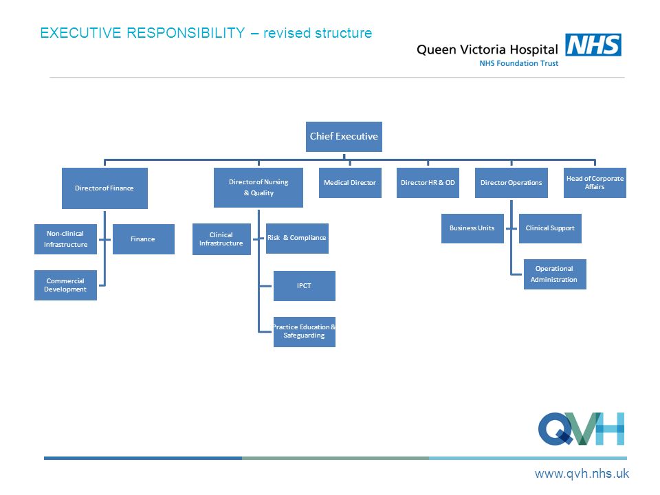 executive responsibility revised structure chief executive director of nursing responsibilities