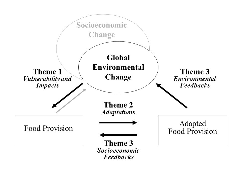 Global Environmental Change Food Provision Theme 1 Vulnerability and Impacts Theme 2 Adaptations Adapted Food Provision Theme 3 Environmental Feedbacks Socioeconomic Change Theme 3 Socioeconomic Feedbacks
