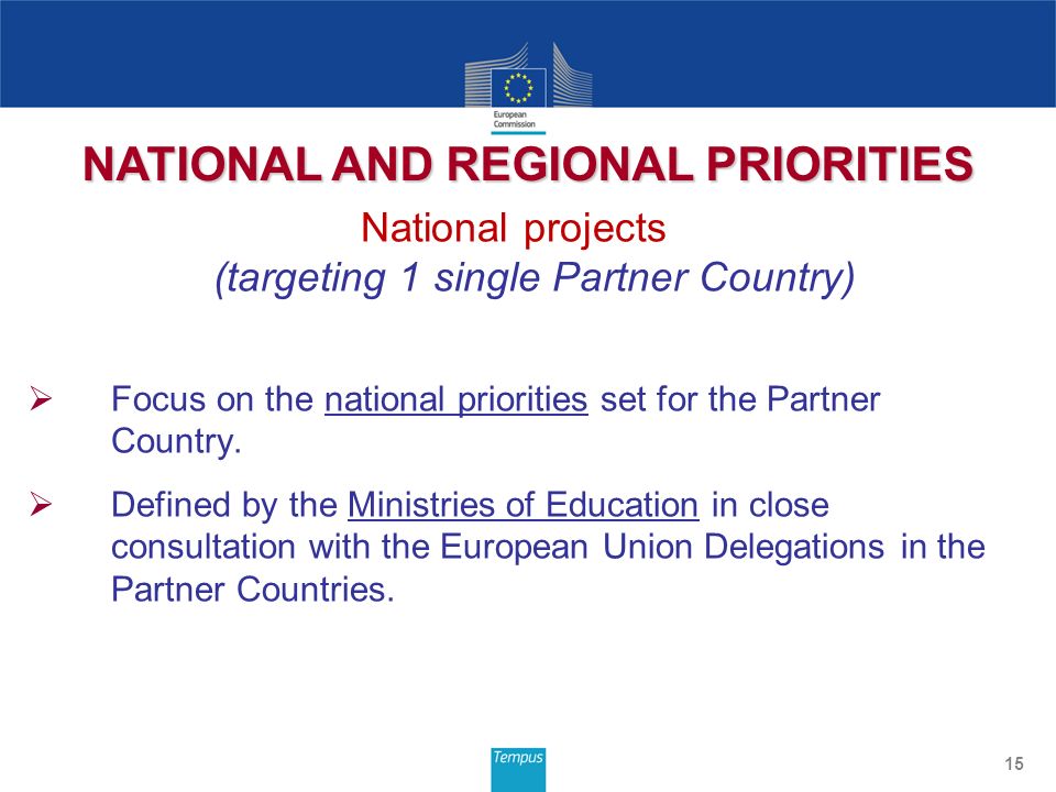 National projects (targeting 1 single Partner Country)  Focus on the national priorities set for the Partner Country.