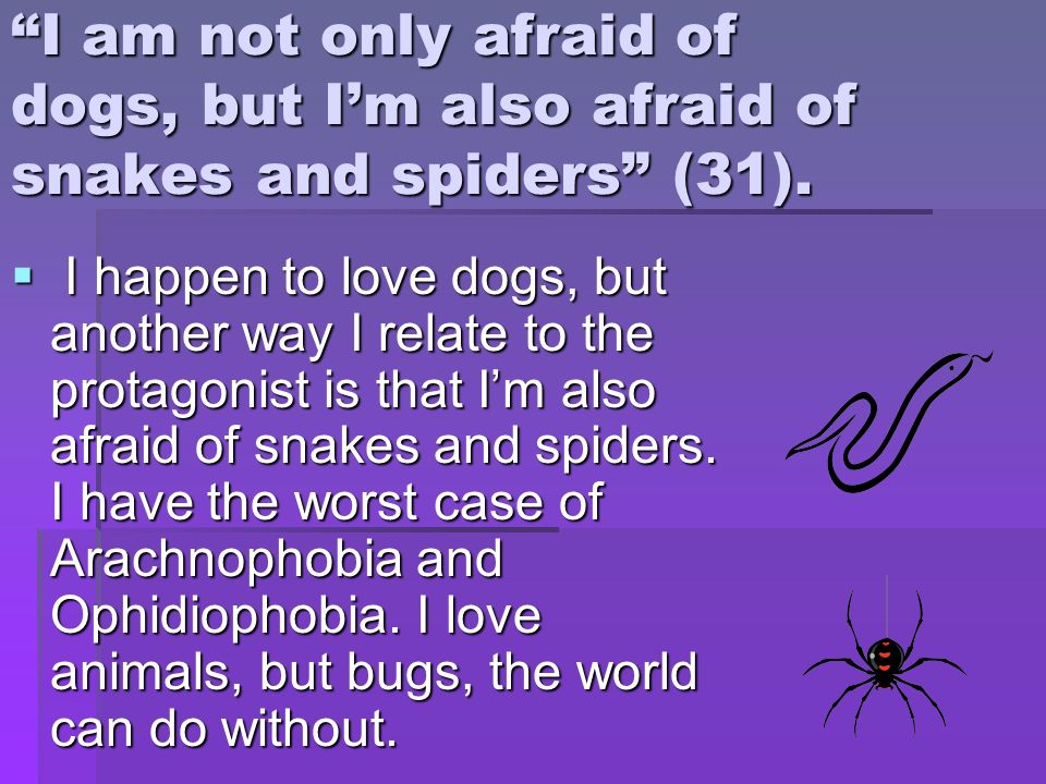 I am not only afraid of dogs, but I’m also afraid of snakes and spiders (31).