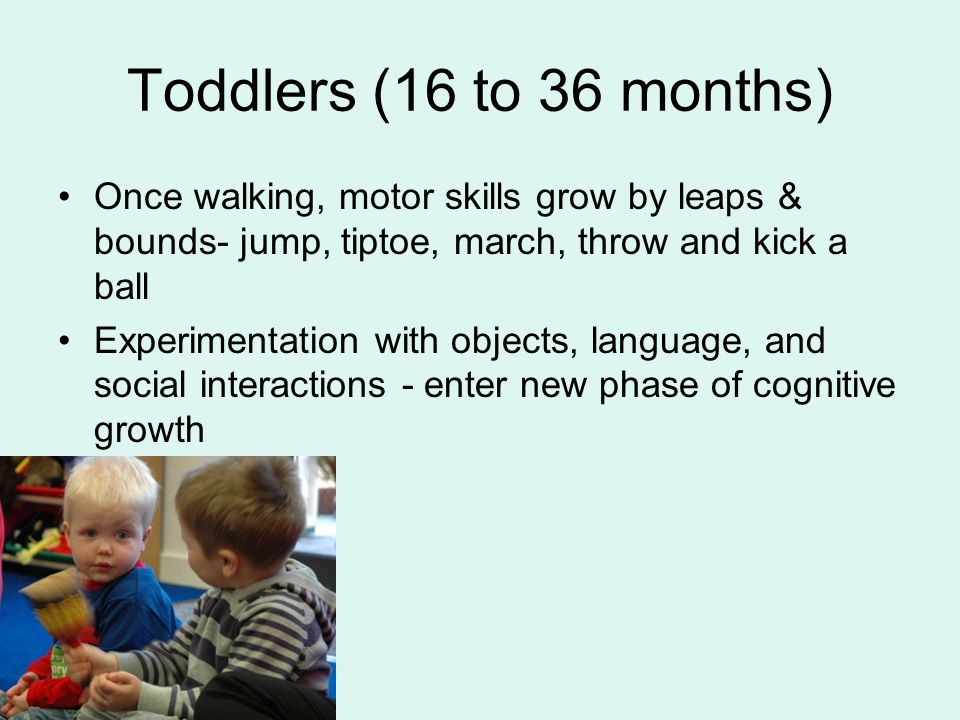 Toddlers (16 to 36 months) Once walking, motor skills grow by leaps & bounds- jump, tiptoe, march, throw and kick a ball Experimentation with objects, language, and social interactions - enter new phase of cognitive growth