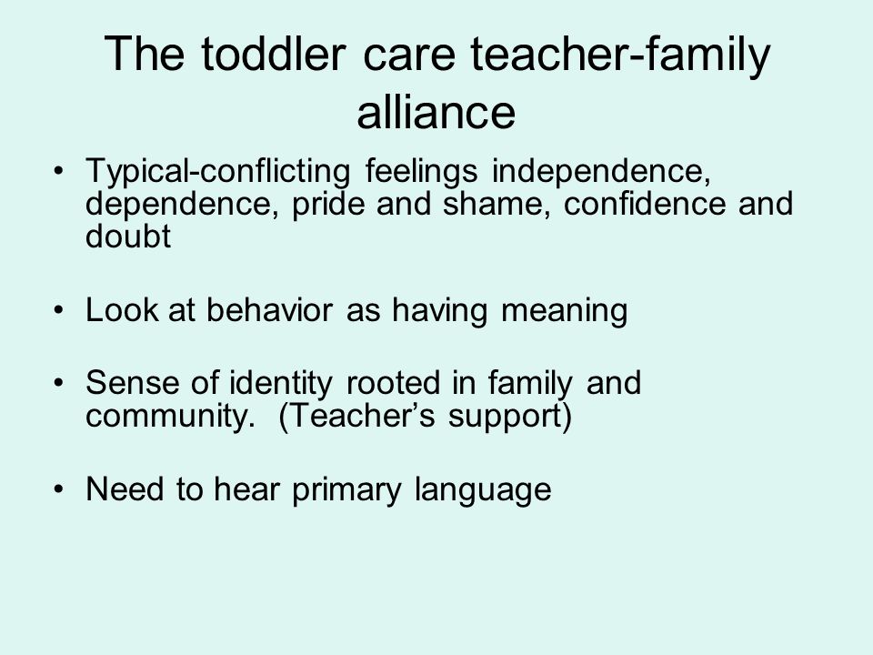 The toddler care teacher-family alliance Typical-conflicting feelings independence, dependence, pride and shame, confidence and doubt Look at behavior as having meaning Sense of identity rooted in family and community.