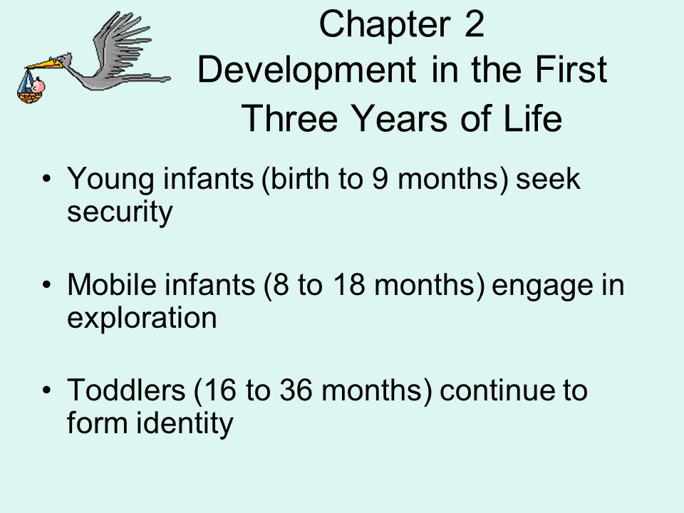 Chapter 2 Development in the First Three Years of Life Young infants (birth to 9 months) seek security Mobile infants (8 to 18 months) engage in exploration Toddlers (16 to 36 months) continue to form identity