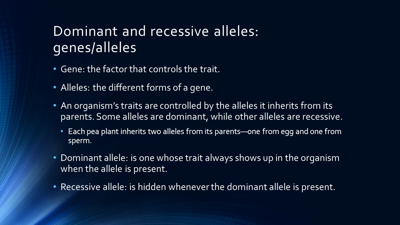 Dominant and recessive alleles: genes/alleles Gene: the factor that controls the trait.