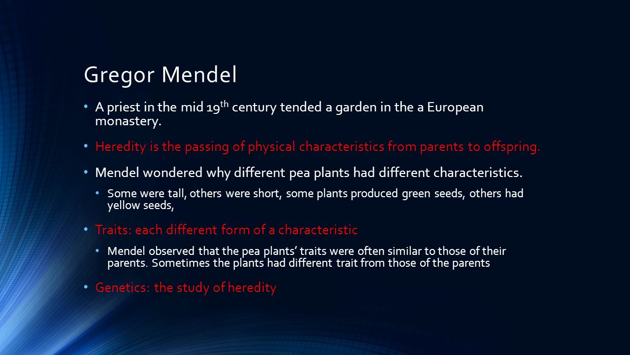 Gregor Mendel A priest in the mid 19 th century tended a garden in the a European monastery.