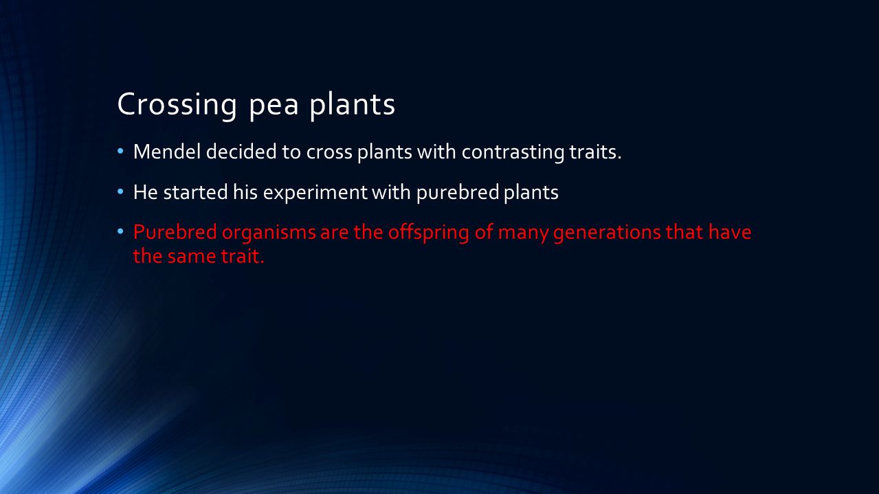Crossing pea plants Mendel decided to cross plants with contrasting traits.